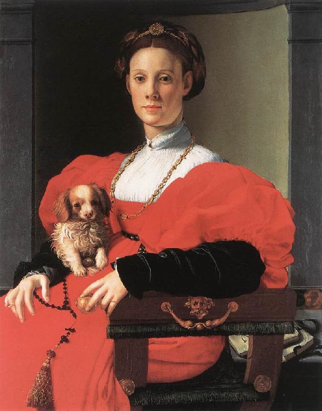 BRONZINO, Agnolo Portrait of a Lady with a Puppy f France oil painting art